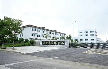 একটি 250 মিলিয়ন RMB বিনিয়োগ এবং একটি 40,000㎡ কারখানা সহ, Dongyang Foods উচ্চ-মানের তাত্ক্ষণিক নুডল উত্পাদনের জন্য একটি শক্তিশালী ভিত্তি তৈরি করেছে৷